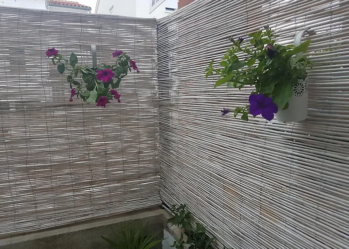 아파트 Framar 보디체